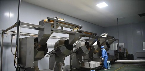 谷城縣石花鎮(zhèn) 培育壯大特色農產(chǎn)品深加工 推動農業(yè)產(chǎn)業(yè)鏈做大做強